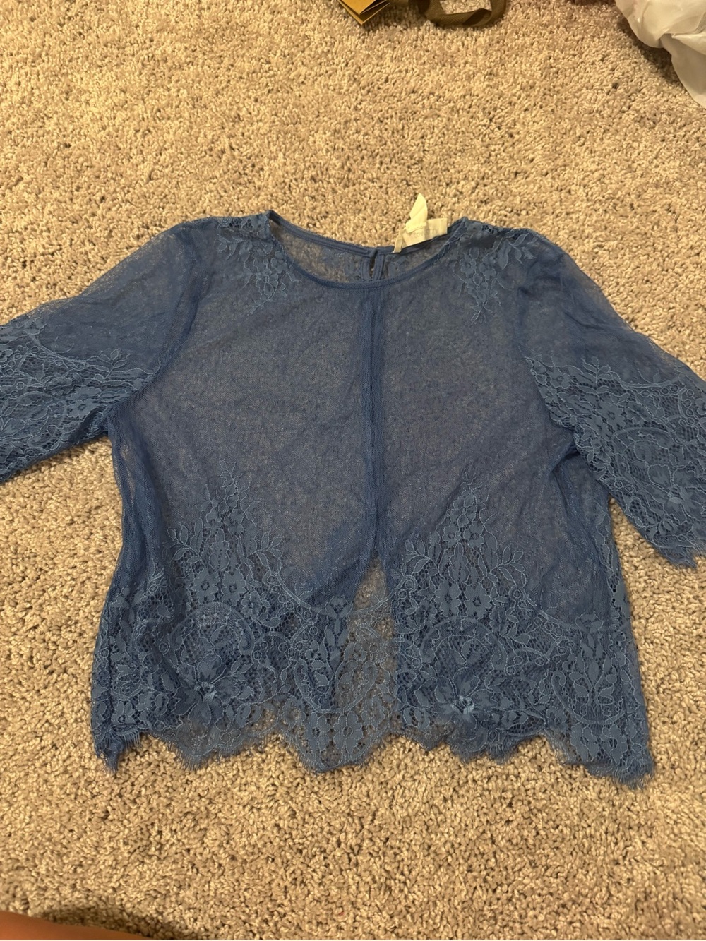 H&M Blue Lace Short Sleeve Blouse